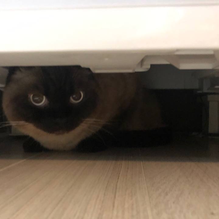 D2aafbae d371 4908 b260 be95c8547b99 1619853463207