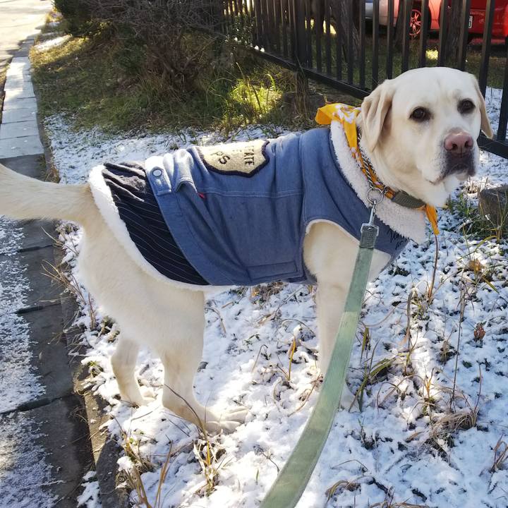 D2ab025e 66ed 4d41 be31 65aef3ba63d5 1548995747507