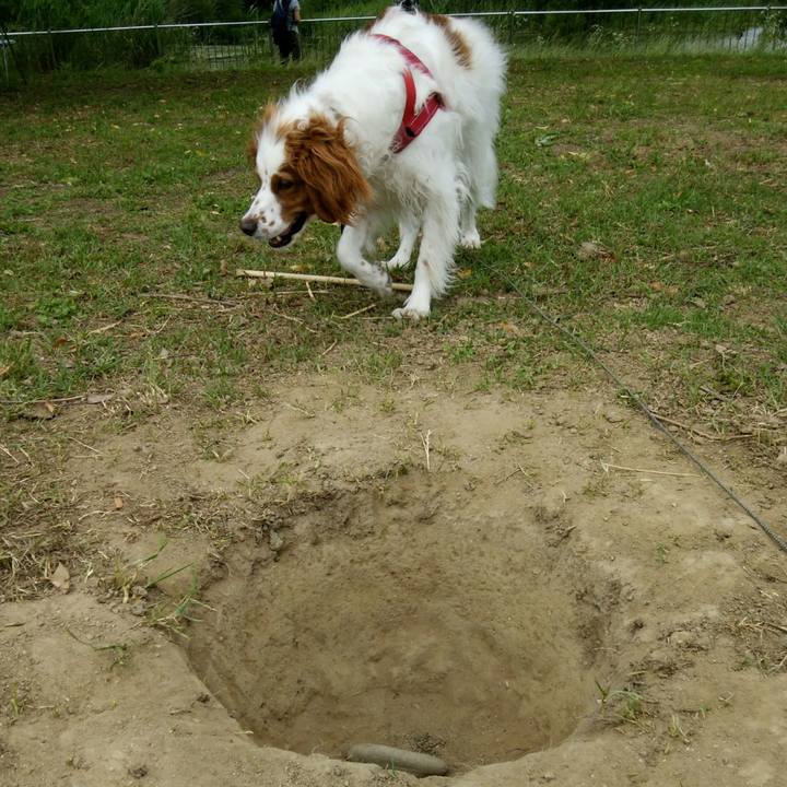 D2ab080c a99b 4074 a811 0691fa819cb5 1560499683367