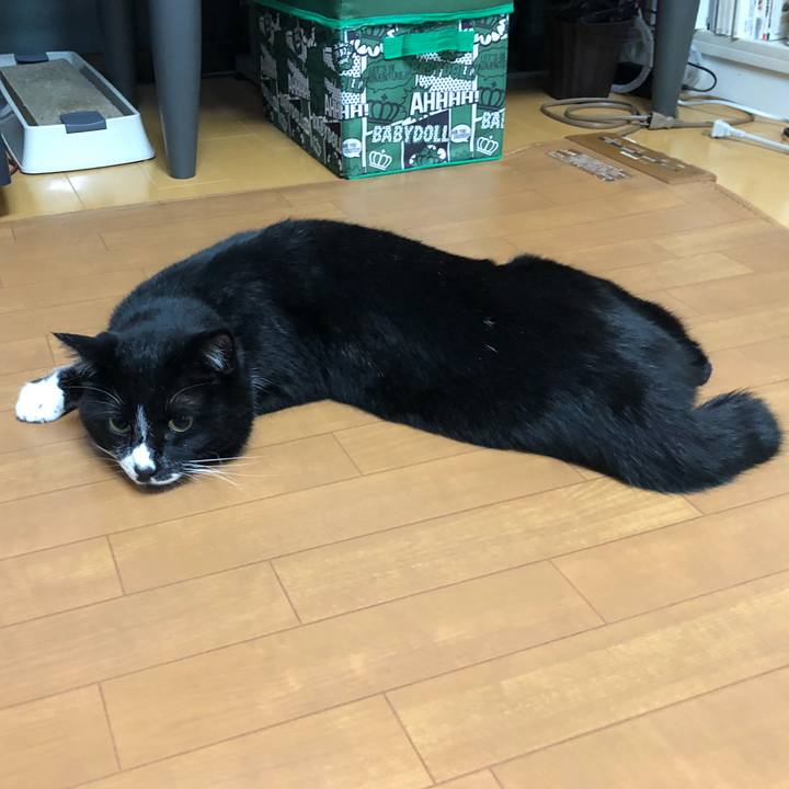 D2ab702c c37c 4840 ab70 dea962ee5d60 1618544438350