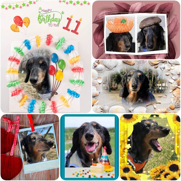 D2ab9eea 0366 427e bf75 2db27d625760 1618211377295