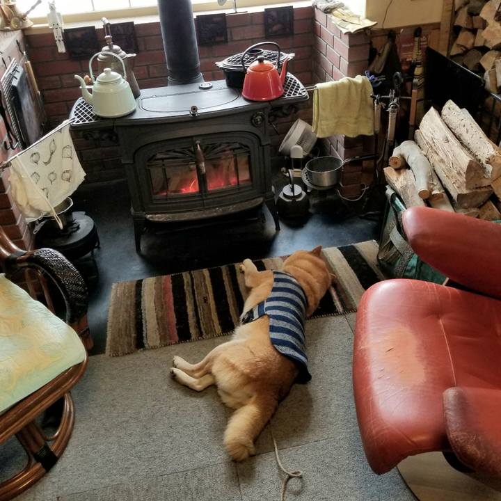 D2aba2ce 919a 4c93 a098 139b5f0d8baa 1610603429201