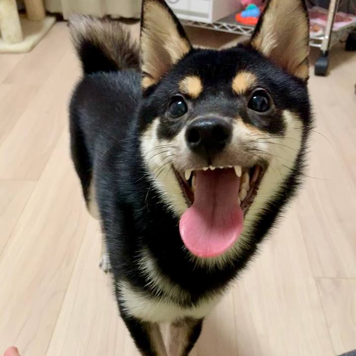 D2aba9f4 a9ee 4713 b518 886ef8226829 1569454462096