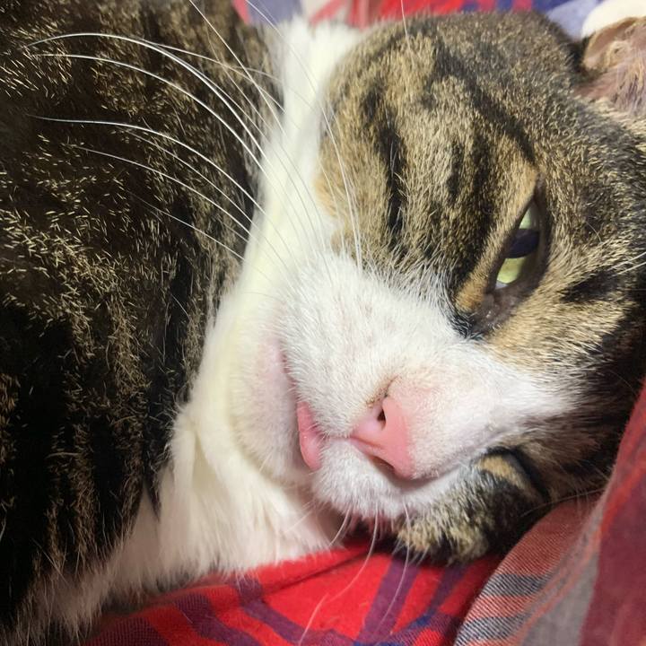 D2ac01ce 925f 4a47 9ed7 2c6f9c102711 1642997053420