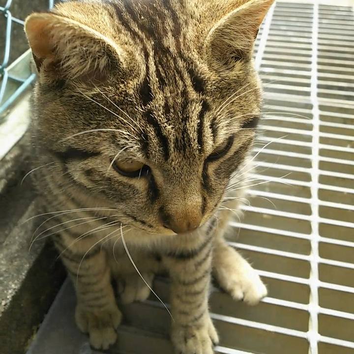 D2ac502d 5360 4d2b ba5a 4f4587715d58 1556771265653