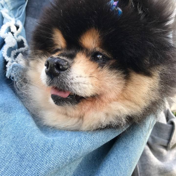 D2ac594a 7671 4db1 a9bc 7f38da91a9d3 1573645753863