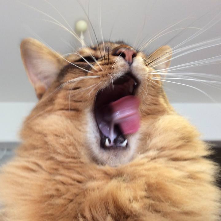 D2ac6542 0ea9 4653 9a61 814e22e9e813 1595476762362