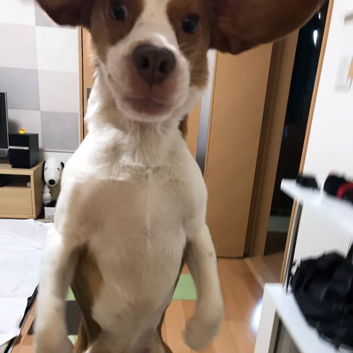 D2ac6c3d ff19 4072 bea2 18078aef9971 1529731776265