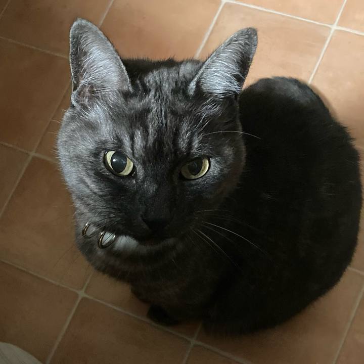 D2aca27f e49b 4c90 b02f 1986db61e2a0 1769870057289