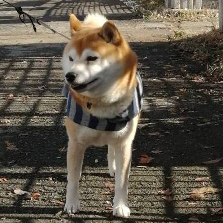 D2aca3bc c921 4b02 9f4e 1e1db9c93042 1577594021785