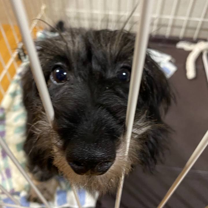 D2acb9a0 d763 4e27 8ccb 99f3a1fa486f 1586021993485