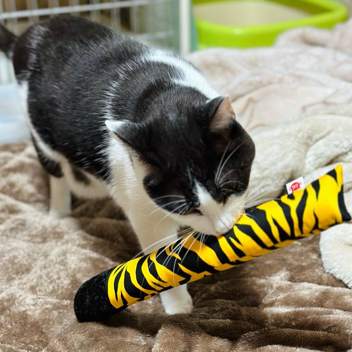 D2acd4bb a9a3 47de aa25 b54b847ecba3 1698802842323