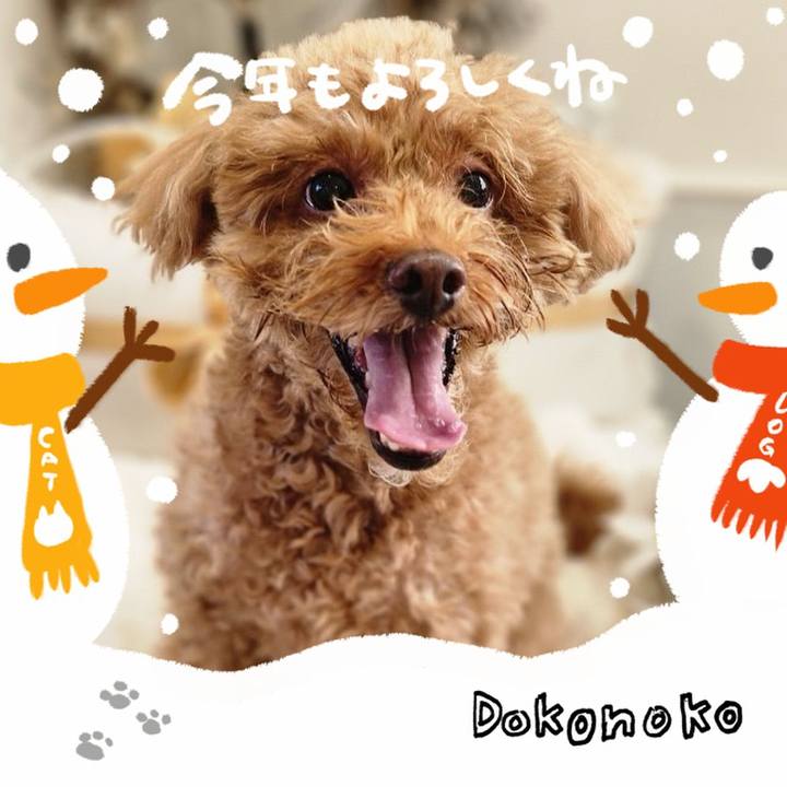 D2acdab0 1fc7 4205 8248 f9877f90b685 1704242226379