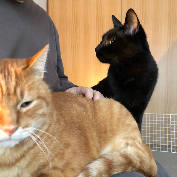 D2ad0206 8f69 4514 9c32 da0e8e798382 1672265924796