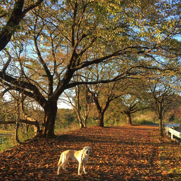 D2ad091c 6338 4620 acf8 f01dbe655aad 1541285729227