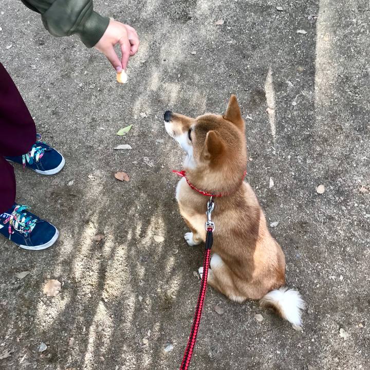 D2ad10f2 2db8 48d9 9c50 84ac2fcea539 1515400798264