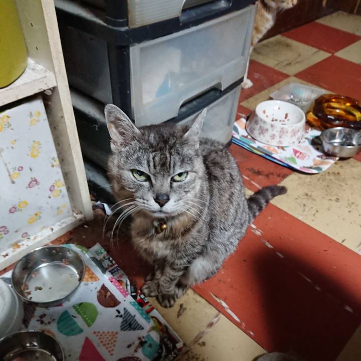 D2ad1752 e78e 463c a01d 21c2c5549895 1590610061503