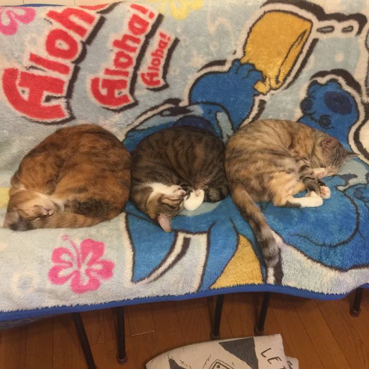 D2ad1e5b 0a42 4e72 892b 43771da76cac 1571919534196