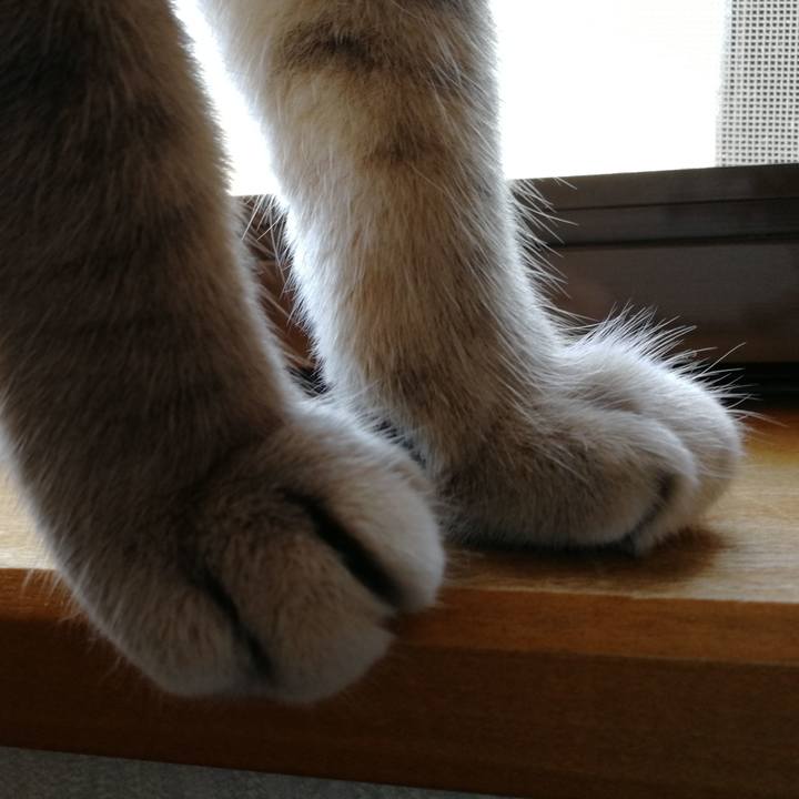 D2ad3bea 7d96 4292 ae76 cc502bd3d4f0 1537745548010