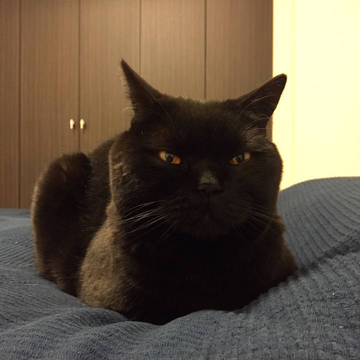 D2ad7fd1 1386 4153 a87b 9650de8c76b0 1587041141547