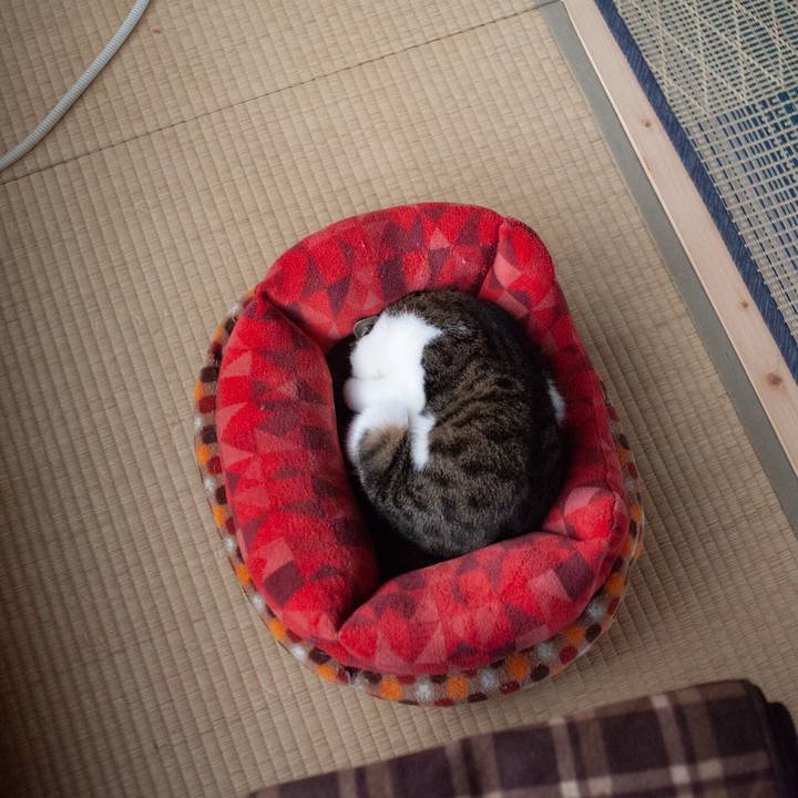 D2ad8f35 4b5d 496e 8838 c872fe22f283 1573858236551