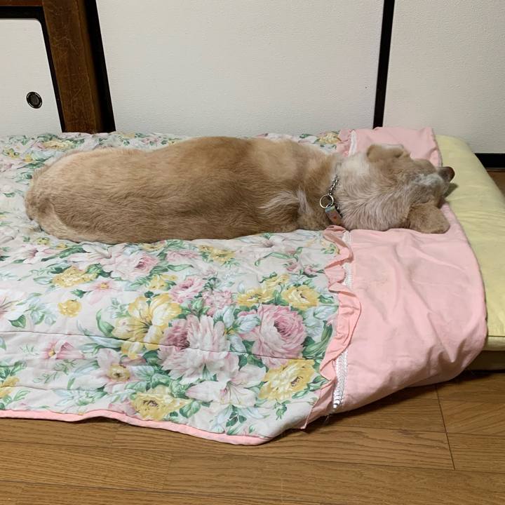 D2ad9964 e0ac 4905 814f 64fc667bef1c 1552314852342