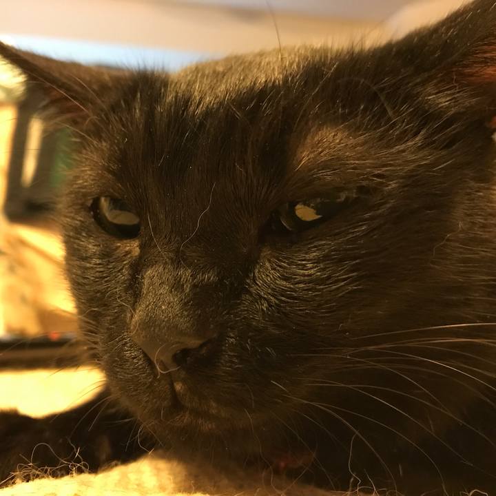 D2adc47b ffba 4b9c a287 5c8e9d7d5341 1538906207273