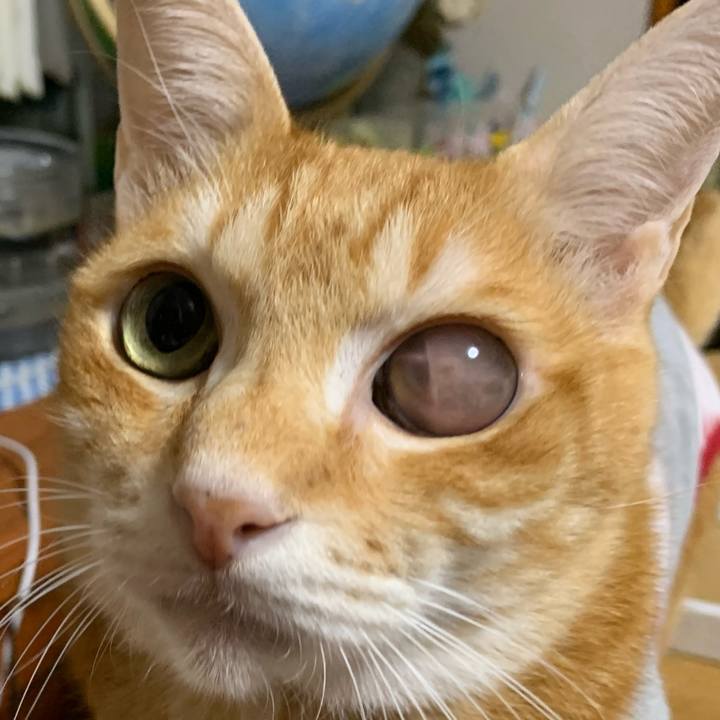 D2adcc4a 478c 4eb8 b5b7 350f2be86fc1 1606560950904