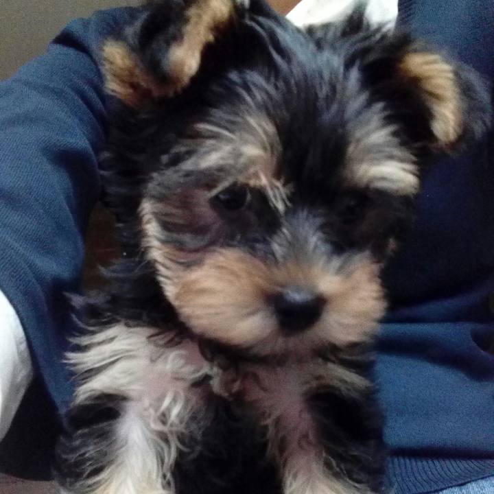 D2adccd2 0792 4233 89aa ac324cf71dd9 1530074930102