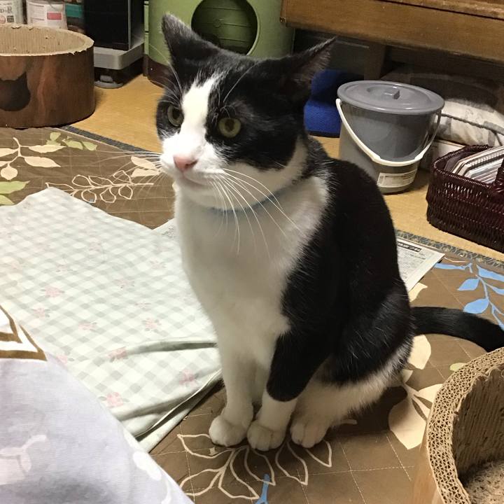 D2ae4b0d e980 4947 a927 53f9da7f2217 1732783500081