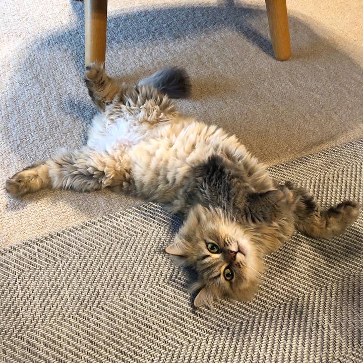 D2ae6322 8d08 4c8c ab82 51d98ee9d12c 1564216387276