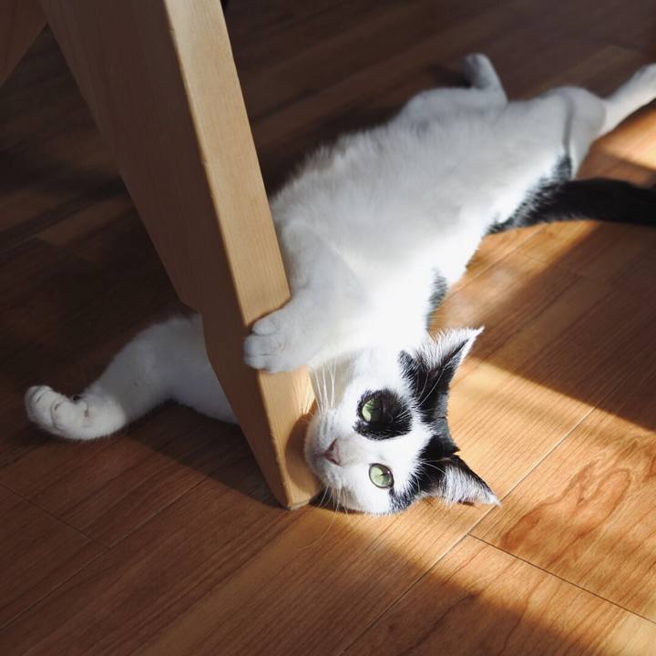 D2ae8ec8 96b7 4d6c 9e64 00704ad61755 1517965294993