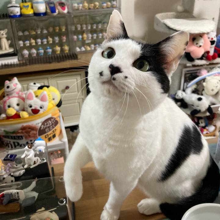 D2aeb968 db07 4bc9 873c 9da969036aa0 1773348898695