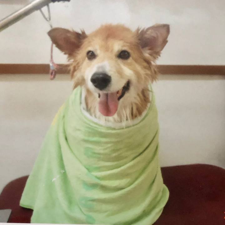 D2aed528 a3c7 4a1d ba7f c5ef201571e2 1560589113042