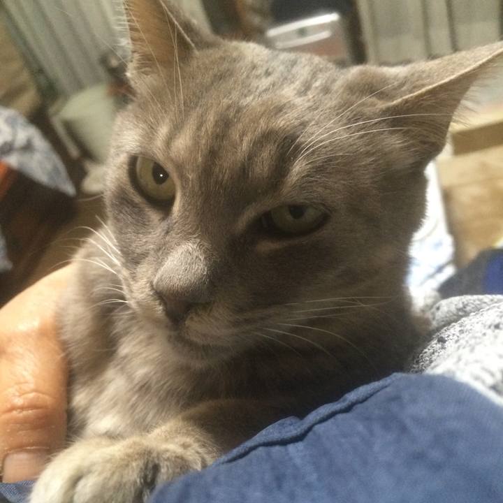 D2aedc5c 2b37 42b2 8e21 27efebc28aef 1556718486204