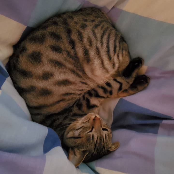 D2aeebef 7960 4541 b2d5 7da9cead6435 1715148314100