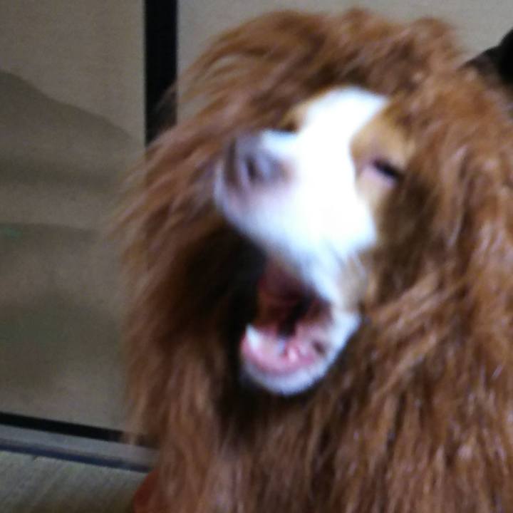 D2aefdbc c202 494d ac20 2706ee9b78c9 1546485384434