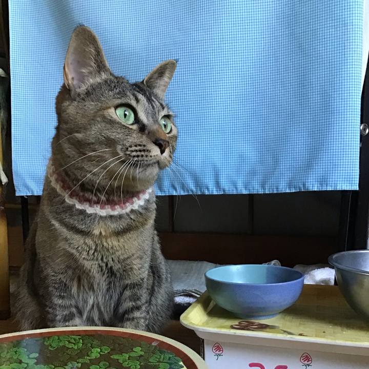 D2af0d0c 71e0 4172 a5f5 be6aca342498 1654310770634