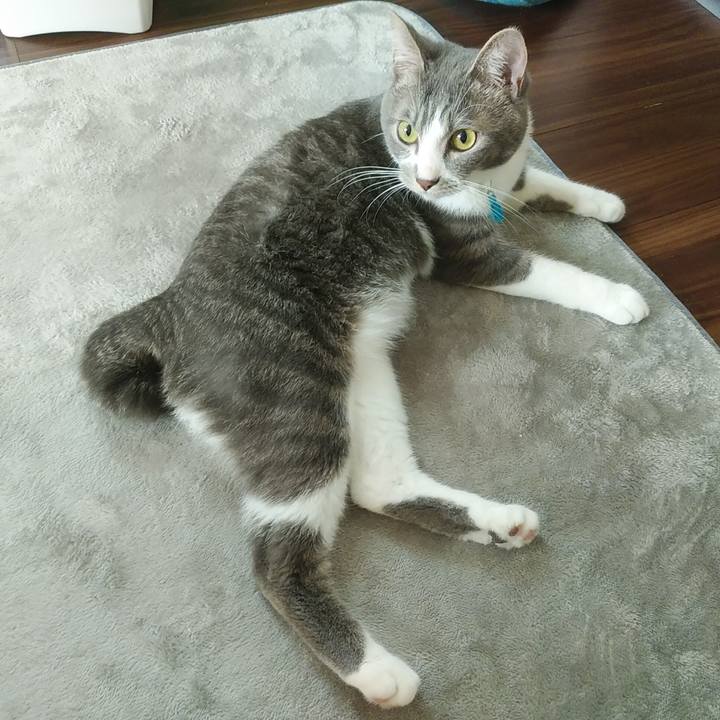 D2af3323 21e3 4e1e 96c5 89b1638b6495 1588460036518