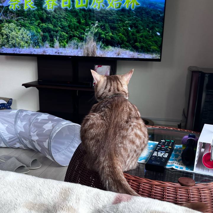 D2af49e4 41dd 4f9e a66f 4406fa8ddbd0 1715467641652