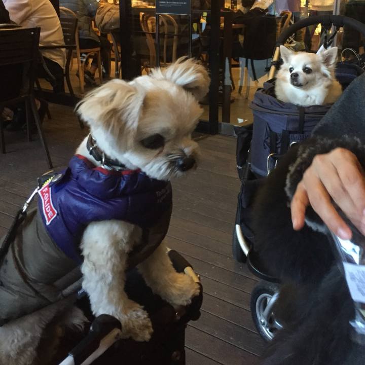 D2af8992 9627 44a4 bb4d c196ce21d1d5 1514638426890