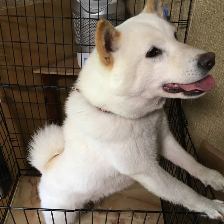 D2af990f af64 4c63 a886 c2cd0bec1a5b 1534120806713