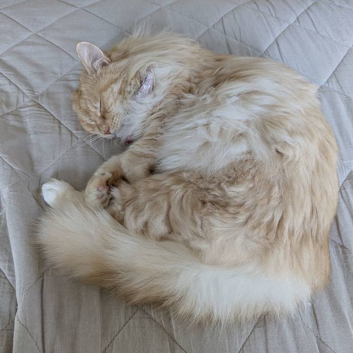 D2afbc96 6479 44fa bc2e 46c8f1d08a1a 1752881087924