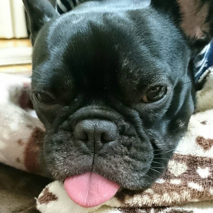 D2b01cfb e86d 4319 adec 4fc0ee9988f2 1511183503776