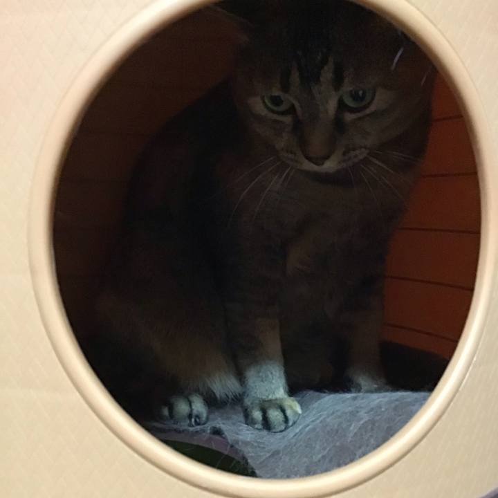 D2b024f4 5676 44e7 b5be a614392f5a1d 1745756126621