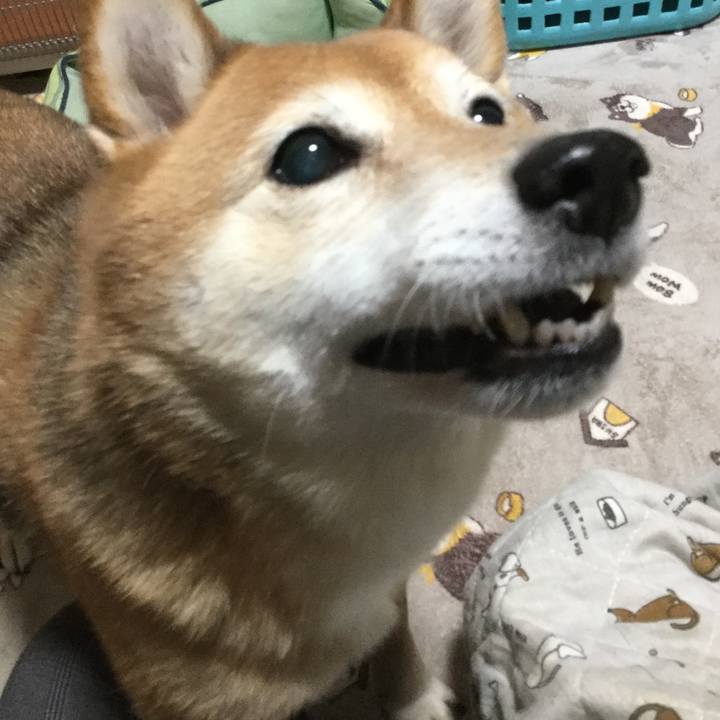 D2b02616 7b06 488a 8db7 aff781191ccb 1611222082320