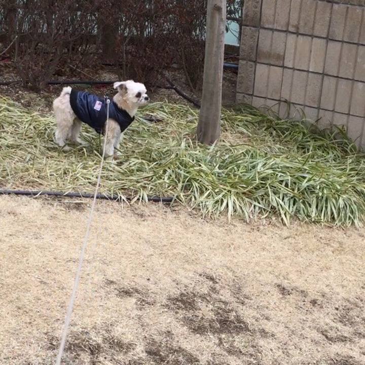 D2b02706 0534 4534 ab28 39e0aa3b386a 1549345011661