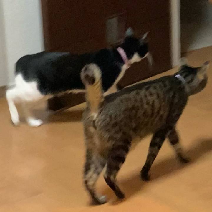 D2b05e3a 8d6e 496b 9360 af83c03724a9 1621739057396