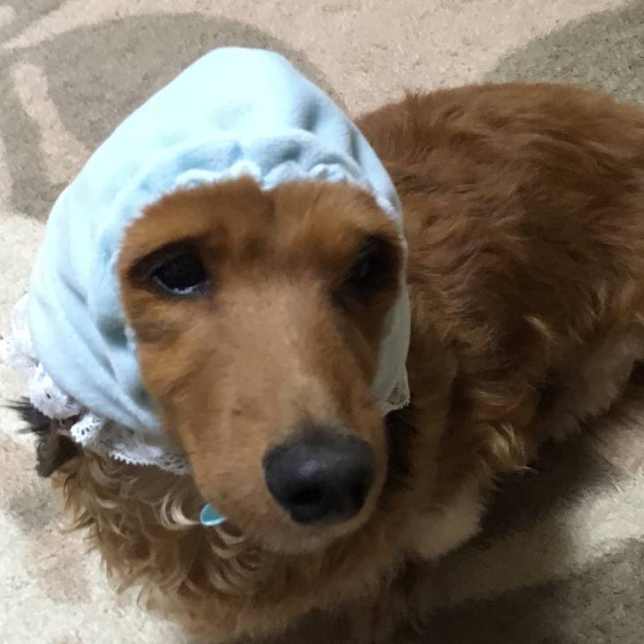 D2b06bf3 11c3 446f 95da 9cb5514890e1 1519389510739