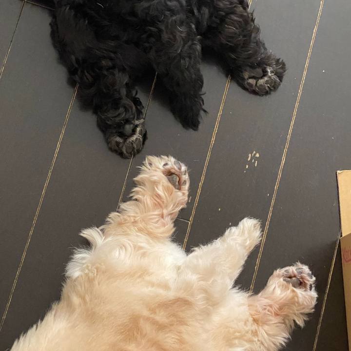 D2b06ca2 bbc4 48d3 b4a1 ee5899d6e1a6 1725626529946